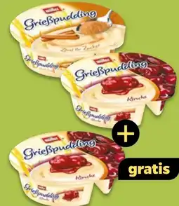 NETTO Müller Grießpudding Angebot