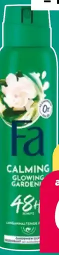 NETTO Fa Deo-Spray Angebot