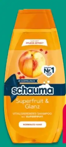 NETTO Schwarzkopf Schauma Shampoo Angebot