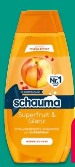 NETTO Schwarzkopf Schauma Shampoo Angebot