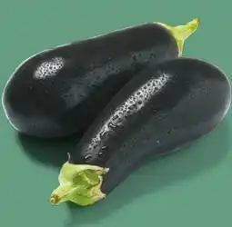 NETTO Aubergine Angebot