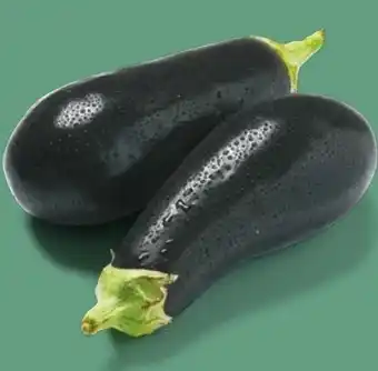 NETTO Aubergine Angebot