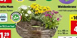 Thomas Philipps Patio mum Angebot