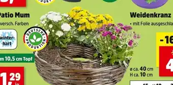 Thomas Philipps Patio mum Angebot