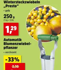 Thomas Philipps Wintersteckzwiebeln presto Angebot