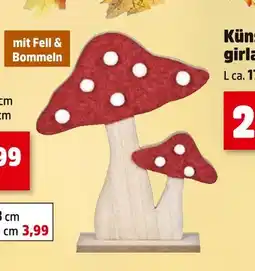 Thomas Philipps Deko-pilz Angebot