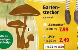 Thomas Philipps Sonnenhut gartenstecker Angebot