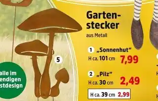Thomas Philipps Sonnenhut gartenstecker Angebot