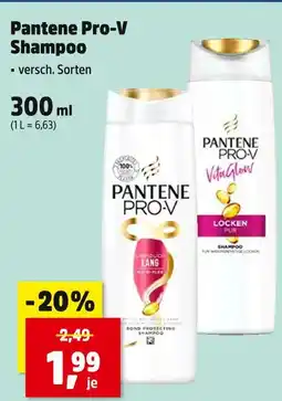 Thomas Philipps Pantene pro-v shampoo superfood lang Angebot