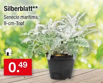 Zimmermann Silberblatt Angebot