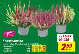 toom Baumarkt Knospenheide Angebot