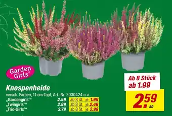 toom Baumarkt Knospenheide Angebot