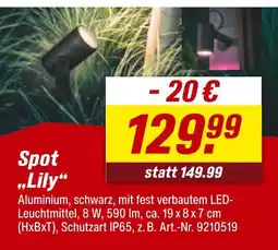 toom Baumarkt Spot 'lily' Angebot