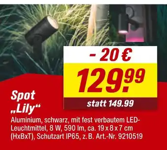 toom Baumarkt Spot 'lily' Angebot