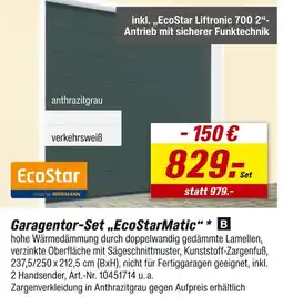 toom Baumarkt Ecostar garagentor-set ecostarmatic Angebot