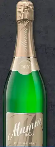 Aldi Süd Mumm & Co. Jahrgangssekt Angebot