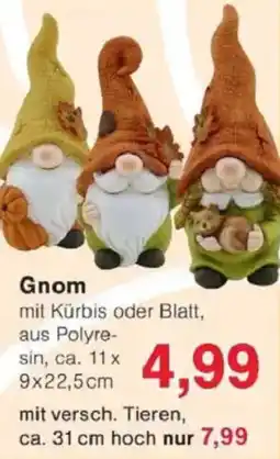 Jawoll Gnom Angebot