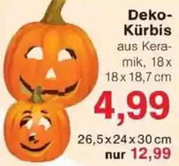 Jawoll Deko Kürbis Angebot