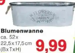 Jawoll Blumenwanne Angebot
