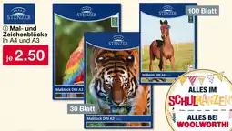 Woolworth STENZER Mal- und Zeichenblöcke Angebot
