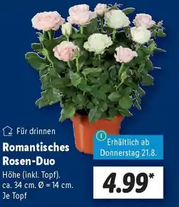 Lidl Romantisches Rosen-Duo Angebot