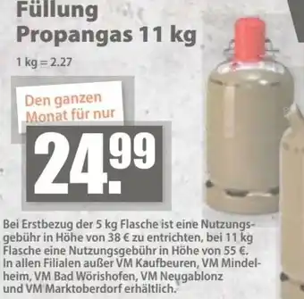 V Baumarkt Füllung Propangas Angebot