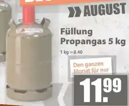 V Baumarkt Füllung Propangas Angebot