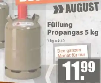 V Baumarkt Füllung Propangas Angebot