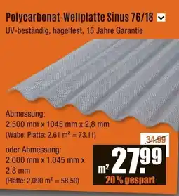 V Baumarkt Polycarbonat-Wellplatte Sinus 76/18 Angebot