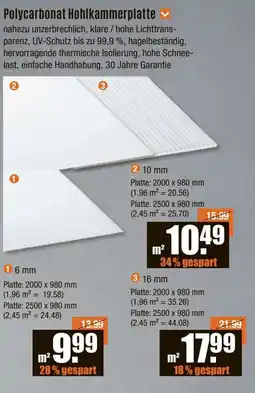 V Baumarkt Polycarbonat Hohlkammerplatte 10 mm Angebot