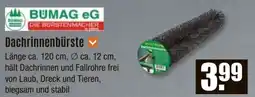 V Baumarkt BUMAG eG Dachrinnenbürste Angebot