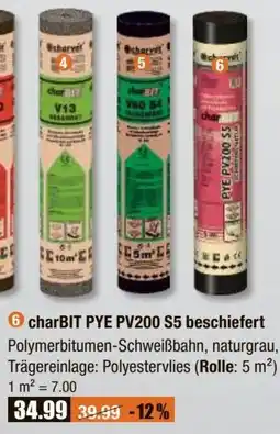 V Baumarkt charBIT PYE PV200 S5 beschiefert Angebot