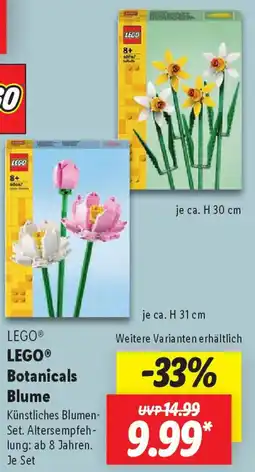 Lidl LEGO Botanicals Blume Angebot
