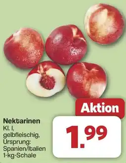 Famila Nord West Nektarinen Angebot