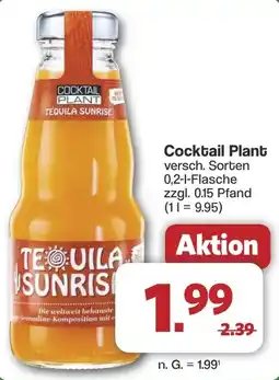 Famila Nord West Cocktail Plant Angebot