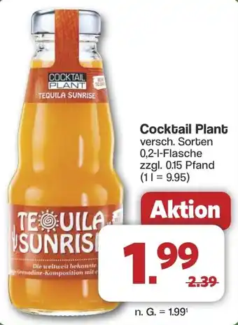 Famila Nord West Cocktail Plant Angebot