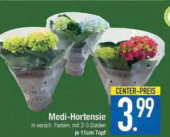 E-Center Medi-hortensie Angebot