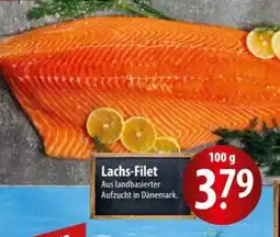Famila Nord Ost Lachs-Filet Angebot