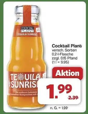 Famila Nord Ost Cocktail Plant Angebot