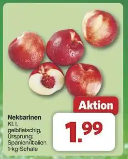 Famila Nord Ost Nektarinen Angebot