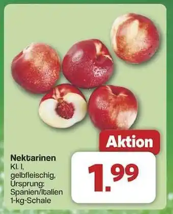 Famila Nord Ost Nektarinen Angebot