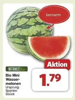 Famila Nord Ost Bio Mini Wassermelonen Angebot
