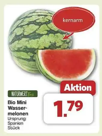Famila Nord Ost Bio Mini Wassermelonen Angebot