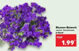 Kaufland Blumen-Beiwerk Angebot