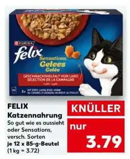 Kaufland felix Katzennahrung Angebot