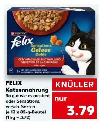 Kaufland felix Katzennahrung Angebot