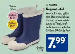 Aldi Süd LILY & DAN Regenstiefel Angebot