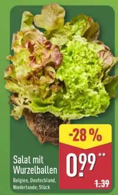 Aldi Nord Salat mit Wurzelballen Angebot