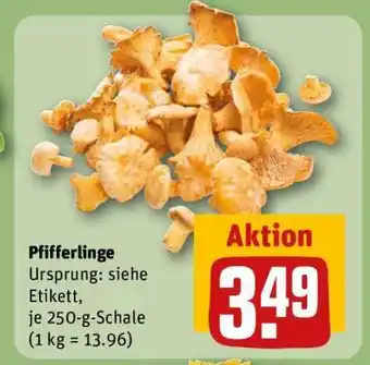 REWE Pfifferlinge Angebot