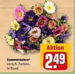 REWE Sommerastern Angebot